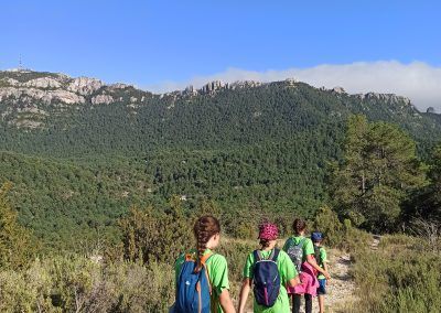 Travessas Serveis Pàgina